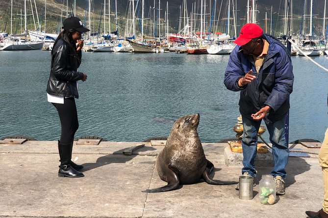Cape of Good Hope-Penguin-Private Tour Combined With Wine Tasting Full Day Tour - Camps Bay, Maiden Cove, and Llandudno Beach