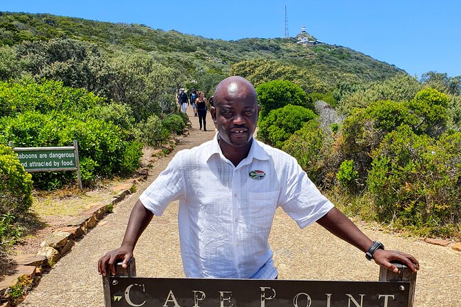 Cape of Good Hope & Penguins Boulder's Beach in Private Car - Why this Cape Peninsula day works well