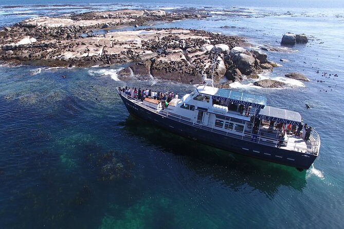 Cape of Good Hope & Penguins from Cape Town Full-Day Private Tour - Camps Bay gives you the classic Cape Town view