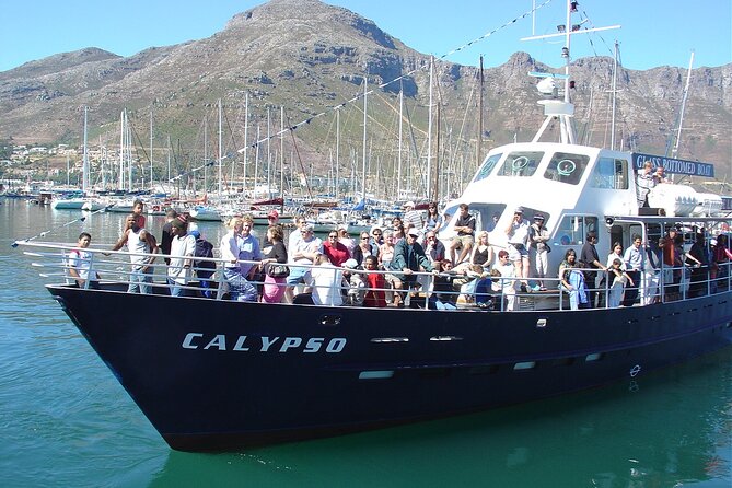 Cape of Good Hope & Penguins from Cape Town Full-Day Private Tour - Cape Point brings open space and a famous sign