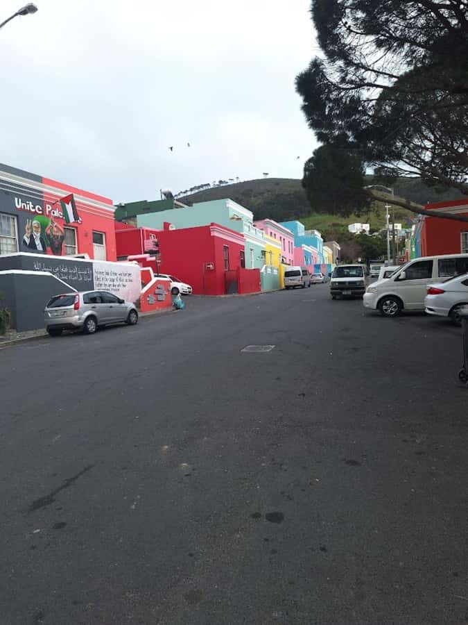 Cape of Good Hope & Penguins Private Tour - Chapman’s Peak Drive: the scenic road section