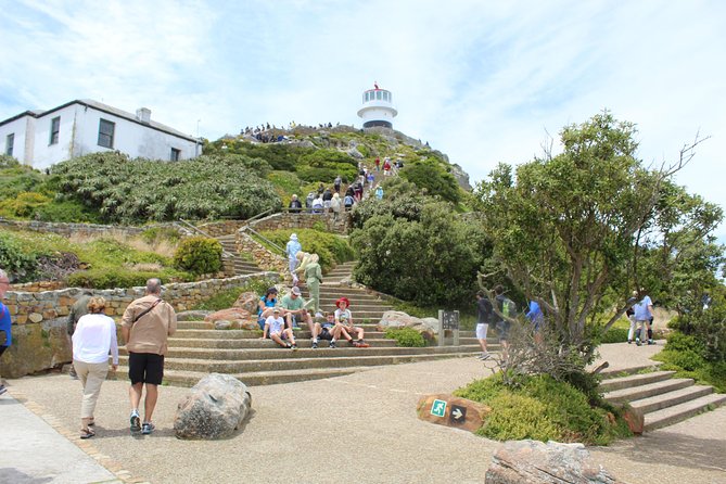 Cape Of Good Hope, Penguins Private Tour from Cape Town full day - Llandudno and Hout Bay’s working harbor