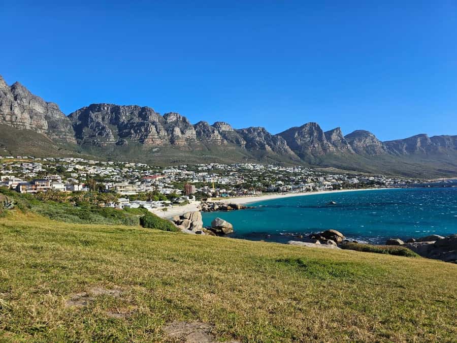 Cape of Good Hope & Penguins Shared Tour - Seal Island and a different kind of wildlife visit