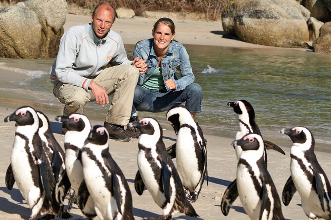 Cape of Good Hope & Penguins Small Group Tour from Cape Town - Why this Cape Peninsula tour works well