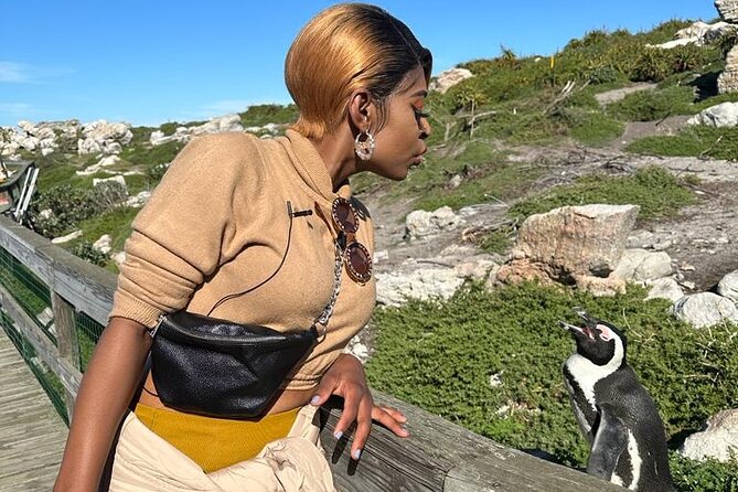 Cape of Good Hope & Penguins Small Group Tour from Cape Town - Hout Bay and the optional Seal Island cruise