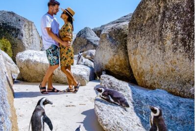 Cape of Good Hope & Penguins Small Group Tour from Cape Town
