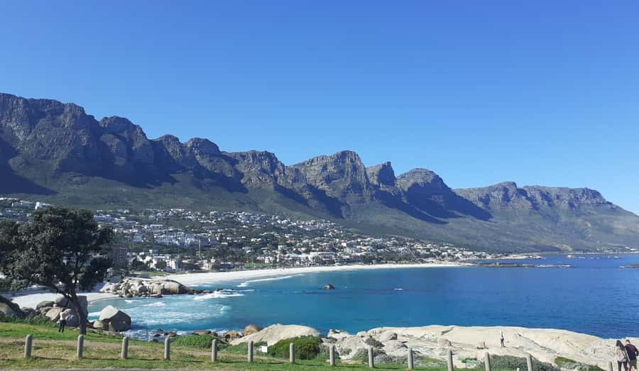 Cape of Good Hope: Sightseeing and African Penguins Tour - Key points at a glance