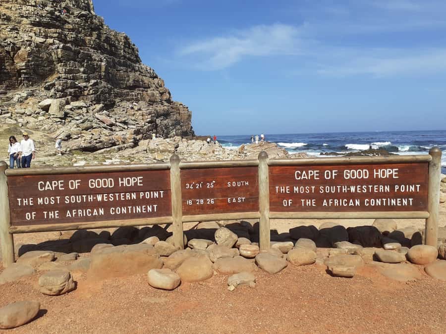 Cape of Good Hope: Sightseeing and African Penguins Tour - Why this Cape day works so well