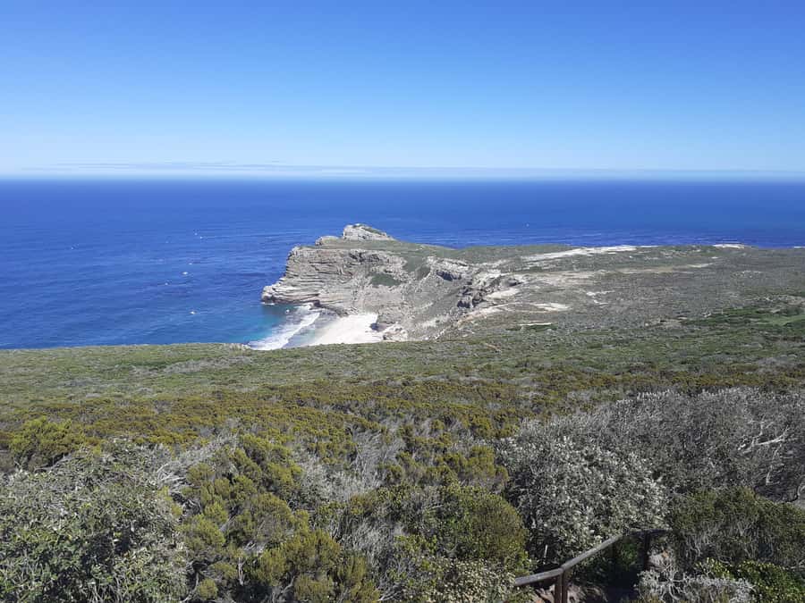 Cape of Good Hope: Sightseeing and African Penguins Tour - Chapman’s Peak makes the drive part of the tour