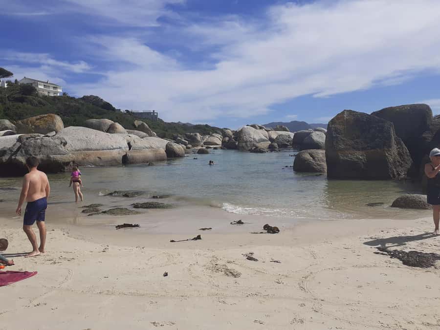Cape of Good Hope: Sightseeing and African Penguins Tour - Cape of Good Hope Nature Reserve