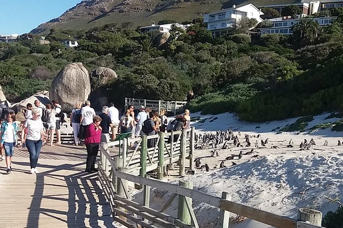 Cape of Good Hope T Mountain Bo-Kaap Penguins Private +Tickets - Simon’s Town: naval history and a sensible lunch stop