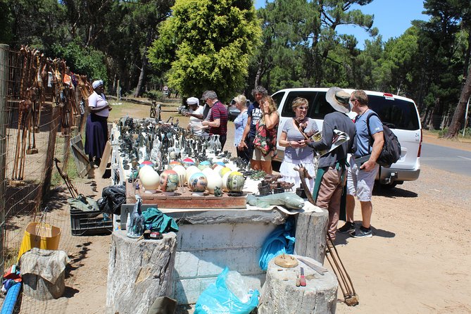Cape of Good Hope T Mountain Bo-Kaap Penguins Private +Tickets - Boulders Beach: the best wildlife stop of the day