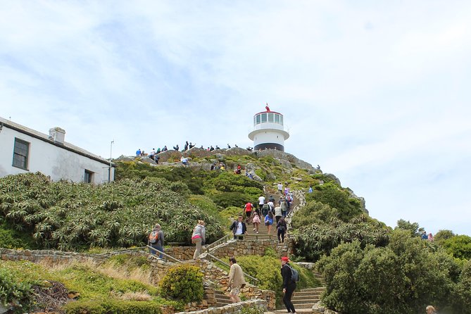 Cape of Good Hope T Mountain Bo-Kaap Penguins Private +Tickets - Cape of Good Hope: ships, lighthouses, and wild animals