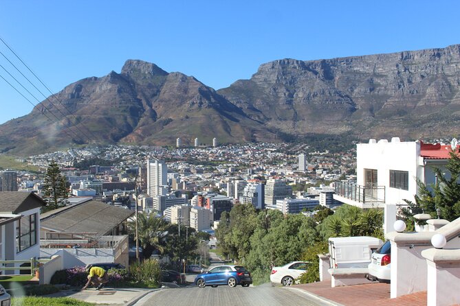Cape of Good Hope, Table Mountain & Penguins Tour + All Tickets - Chapman’s Peak Drive: the road is part of the attraction