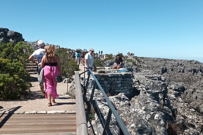 Cape of Good Hope, Table Mountain & Penguins Tour + All Tickets - Cape Point Vineyards: a short pause above the valley