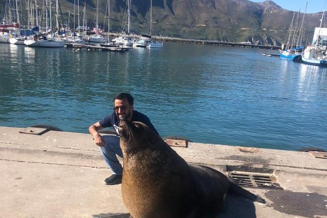 Cape Peninsula Adventure - Two hours around the Cape of Good Hope
