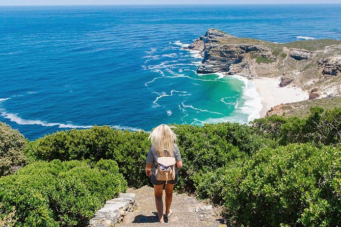 Cape Peninsula and Boulders Full Day Tour with Private Transfer - Boulders Beach is the emotional high point, with an extra fee