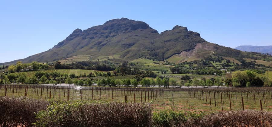 Cape Peninsula and Winelands Private Full-Day Combo Tour - Lunch in Simon’s Town is on your own
