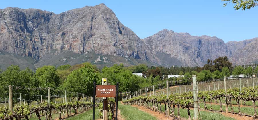 Cape Peninsula and Winelands Private Full-Day Combo Tour - Bo-Kaap and the first city views