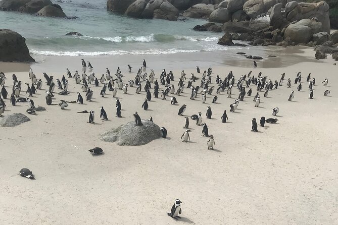 Cape Peninsula Cycle Tour - Coffee, a snack, and the value of a private tour