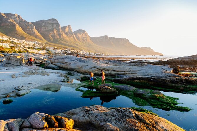 Cape Peninsula Day Tour - What the $142.40 Price Really Covers
