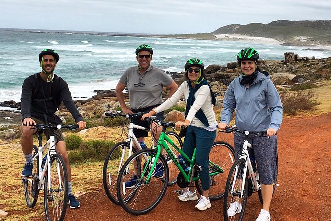 Cape Peninsula E-bike Cycle with Vehicle - Private Tour - Cape Point Nature Reserve is the heart of the outing