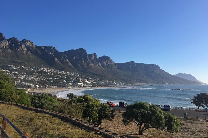 Cape Peninsula E-bike Cycle with Vehicle - Private Tour - Boulders Beach brings the penguin finale
