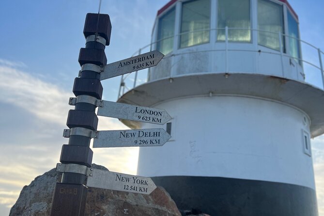 Cape Peninsula Full Day Private Experience - Hout Bay, seals, and Fish On The Rocks
