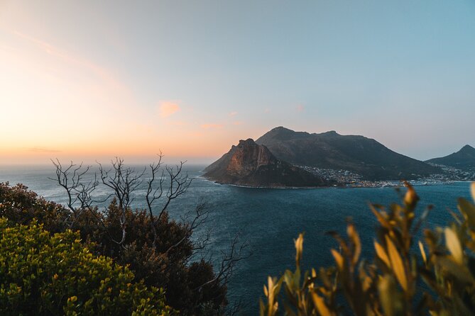 Cape Peninsula Half Day Tour From Cape Town Travel Choice Award - Two hours at Cape Point Nature Reserve