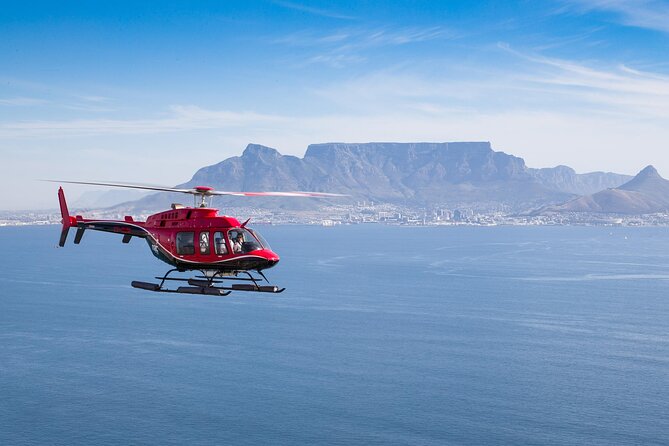 Cape Peninsula Helicopter Private Tour with Stellenbosch Wine Tasting & Lunch - Key points to know before you book