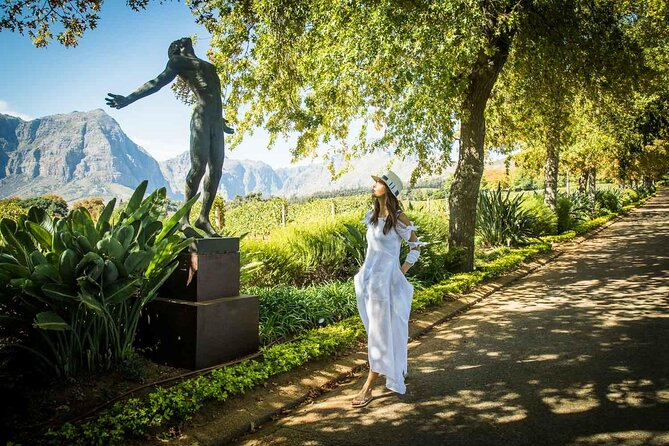 Cape Peninsula Helicopter Private Tour with Stellenbosch Wine Tasting & Lunch - DeMorgenzon and the idea of music in the vines