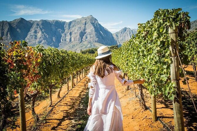 Cape Peninsula Helicopter Private Tour with Stellenbosch Wine Tasting & Lunch - What the $798.20 price really buys