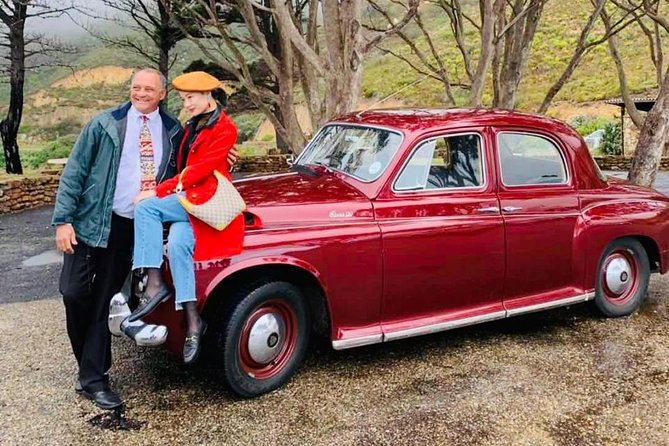 Cape Peninsula in a Vintage Car (Penguins, Cape Point & Chapman's Peak drive) - Why a vintage car changes the Cape Peninsula day