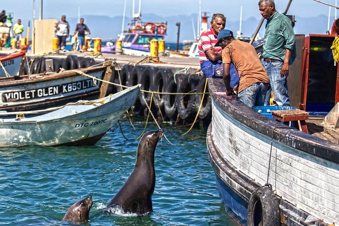 Cape Peninsula in a Vintage Car (Penguins, Cape Point & Chapman's Peak drive) - What the $385.06 group price really buys you