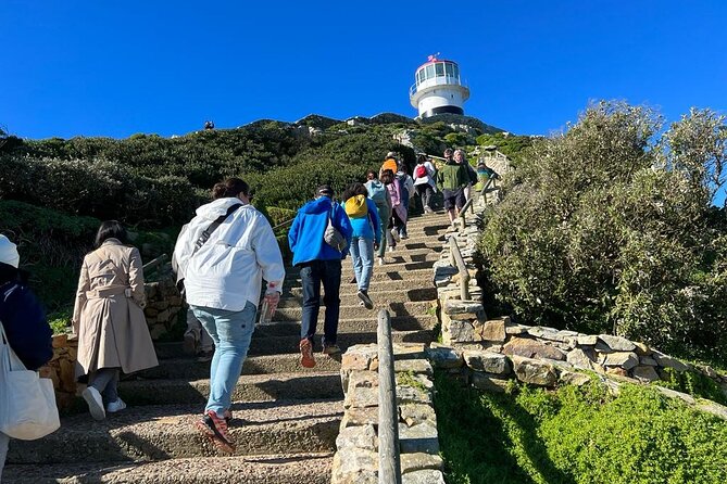 Cape Peninsula &Penguin Sightseeing in Private Car Full Day Tour - Noordhoek Farm Village: A Practical Pause