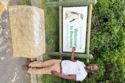 Cape Peninsula &Penguin Sightseeing in Private Car Full Day Tour