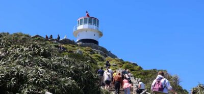 Cape Peninsula & Penguins Beach Half Day Tour from Cape Town