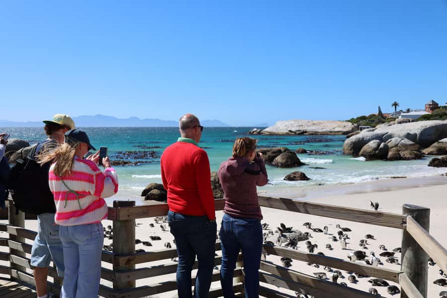 Cape Peninsula & Penguins Beach Half Day Tour from Cape Town - Muizenberg closes the loop with color