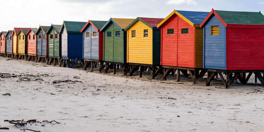 Cape Peninsula: Private Full Day Tour - What the $225 price really covers