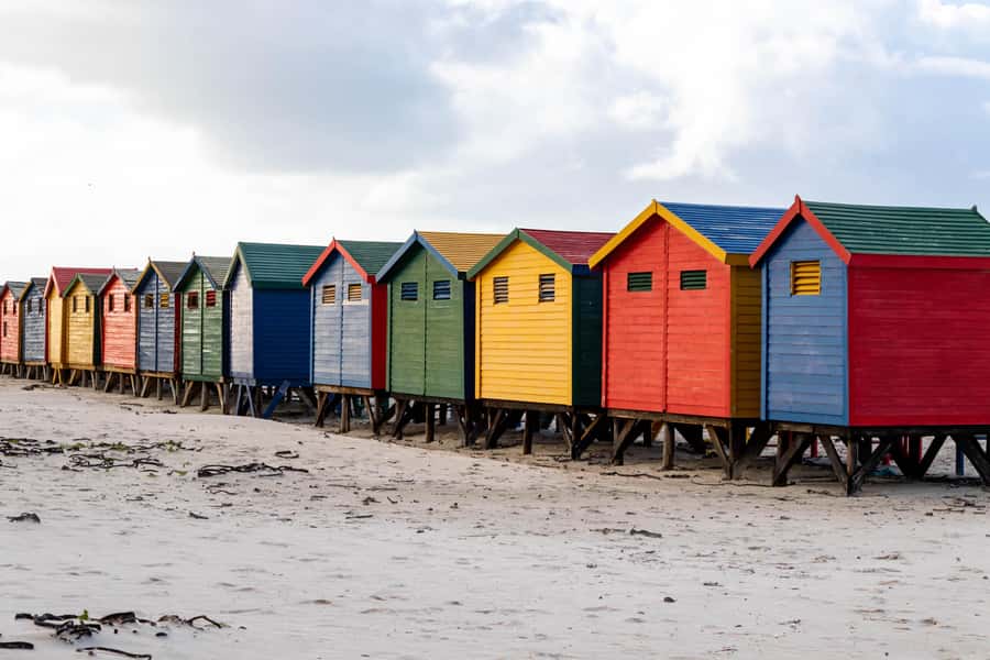 Cape Peninsula: Private Full Day Tour - Chapman’s Peak Drive, the scenic centerpiece