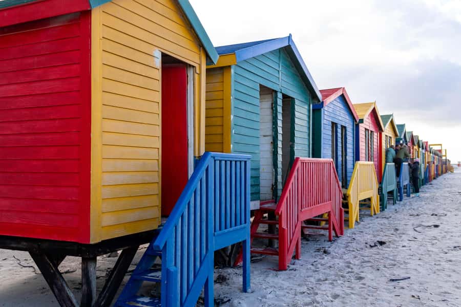 Cape Peninsula: Private Full Day Tour - Boulders Beach and the African penguins