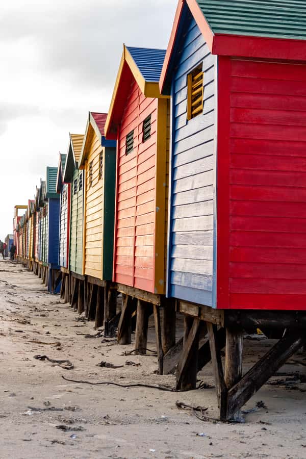Cape Peninsula: Private Full Day Tour - Simon’s Town and its naval character