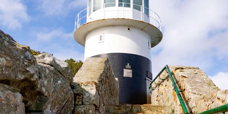 Cape Peninsula: Private Half Day Tour - Timing, comfort, and what to bring
