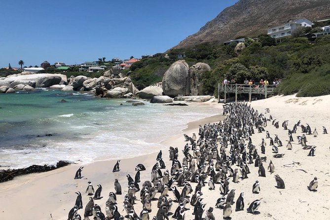 Cape Peninsula Private Tour - Muizenberg closes with color and surf