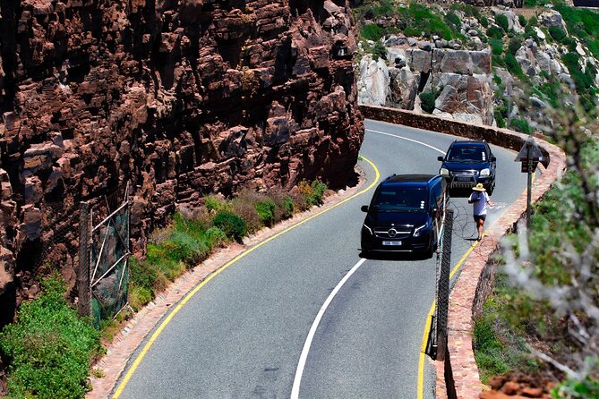 Cape Peninsula Private Tour Include Park Fees - Boulders Beach and the African penguins