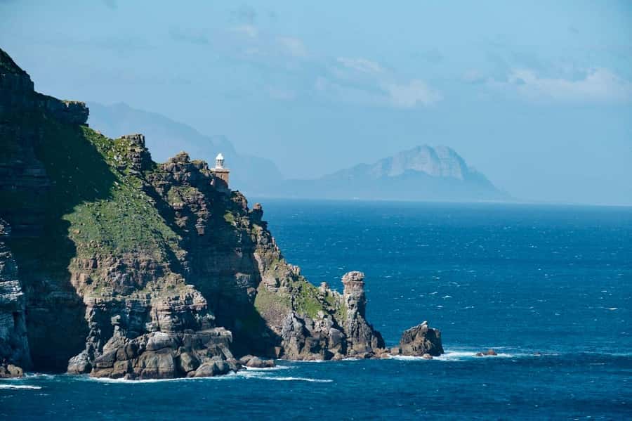 Cape Peninsula Shared Half-Day Tour - Why this half-day route works in Cape Town