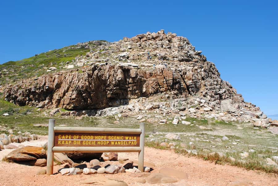 Cape Peninsula Shared Half-Day Tour - False Bay and Simons Town