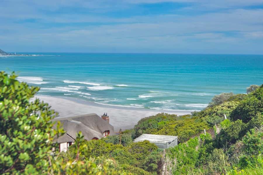 Cape Peninsula Shared Half-Day Tour - Guides, vehicles, and the feel of the day