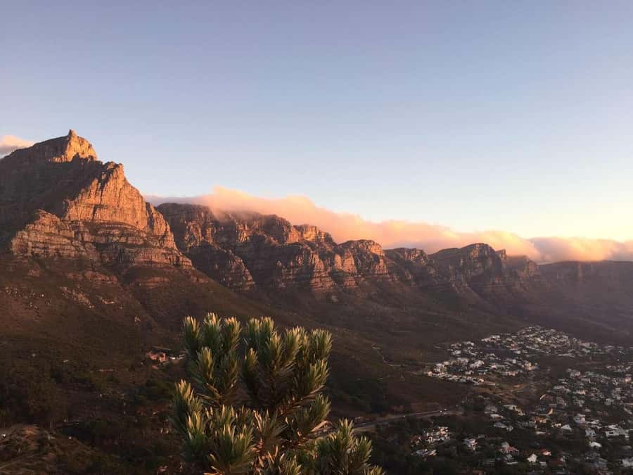 Cape Peninsula Shared Half-Day Tour - Clifton and Camps Bay: a stylish start