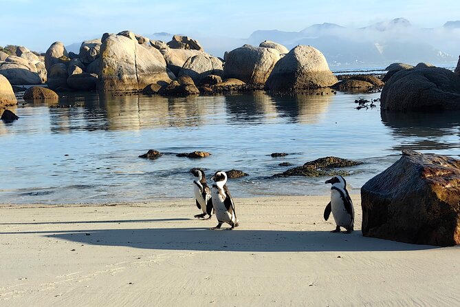 Cape Peninsula Tour - Muizenberg closes with colorful beach huts